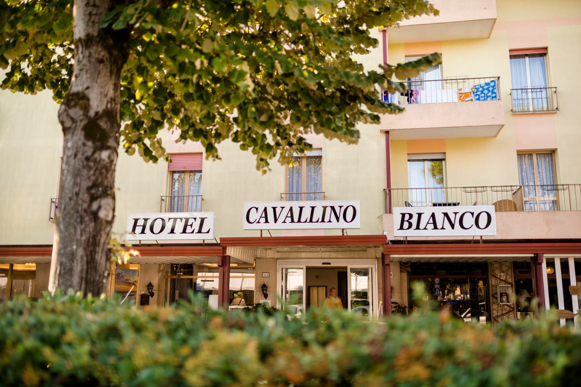 Hotel Cavallino Bianco Exteriör bild